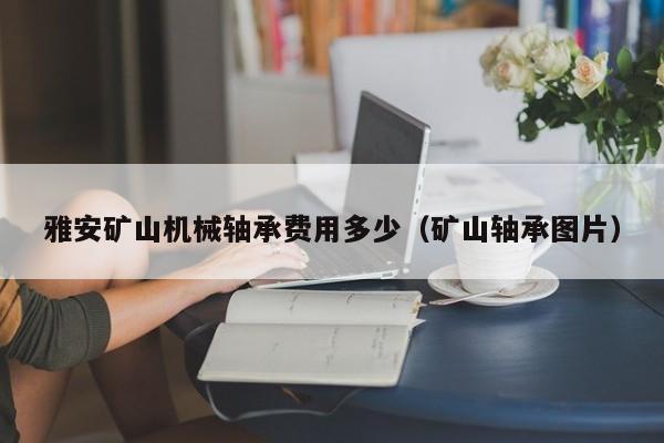 雅安矿山机械轴承费用多少（矿山轴承图片）
